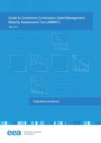 Full size image of Asset Management Maturity Assessment Tool (Guide)